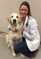 Dr Martin Siegel Garden State Animal Hospital Cherry Hill Nj