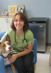 Dr Martin Siegel Garden State Animal Hospital Cherry Hill Nj