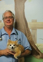 norco animal shelter website