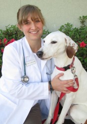 Dr. Casey Tift (Animal Medical Center of Lawrenceville) | Animal Clinic |  Pet Medicus