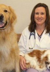 Dr. Kim Hamer (Animal Medical Center) | Animal Clinic | Pet Medicus