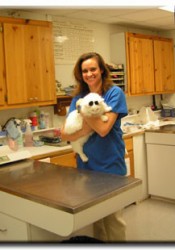 Dr. Wendy Meeker (Hiram Animal Hospital) | Animal Clinic | Pet Medicus