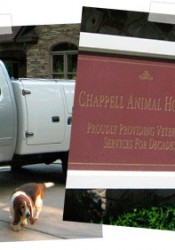 Dr. John (Chappell Animal Hospital & Chappell Equine Services) | Animal  Clinic | Pet Medicus