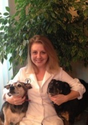 Dr. Kitt Mueller (Mohnacky Animal Hospital) | Animal Clinic | Pet Medicus