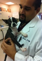 Manpreet Mundh (Piedmont Hills Animal Hospital) | Animal Clinic | Pet  Medicus