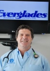 Eric Weman (Everglades Animal Hospital) | Animal Clinic | Pet Medicus