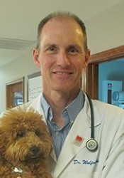 Dr. Wayne Wolfenkoehler (All Pets Animal Hospital) | Animal Clinic | Pet  Medicus