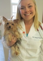 Dr. Kendall Madson (All Pets Animal Hospital) | Animal Clinic | Pet Medicus