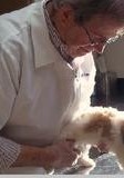 Dr. Robert Shipman (GAGE ANIMAL HOSPITAL) | Animal Clinic | Pet Medicus