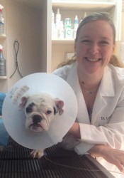 Dr. Laura Chretien (Loving Touch Animal Hospital) | Animal Clinic | Pet  Medicus