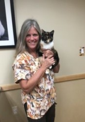 Lori Walker (Animal Hospital of Sussex County) | Animal Clinic | Pet Medicus
