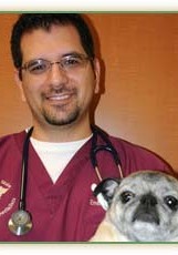 Dr Paul Corrente Garden State Veterinary Specialists Tinton
