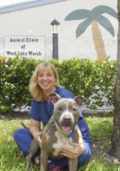 Dr. Stephanie Johnston (Animal Clinic of West Lake Worth) | Animal Clinic |  Pet Medicus