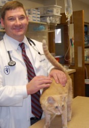 Dr. Jeffrey Esch (South Orlando Animal Hospital) | Animal Clinic | Pet  Medicus
