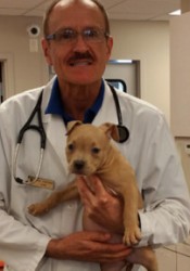 Dr. KAROL PODERSKI (Martin Downs Animal Hospital) | Animal Clinic | Pet  Medicus