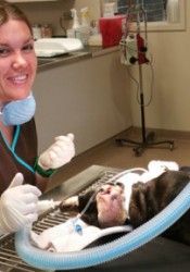 Dr. STACY WAPNER (Martin Downs Animal Hospital) | Animal Clinic | Pet  Medicus