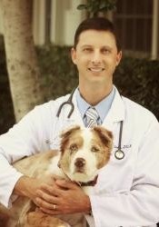 Dr. John Clines (Harmony Animal Hospital) | Animal Clinic | Pet Medicus