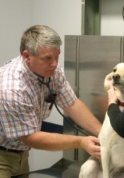 Brett Ziegler (Fairview Heights Animal Clinic) | Animal Clinic | Pet Medicus