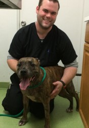 Rob Pieratt (Voss Road Animal Clinic) | Animal Clinic | Pet Medicus