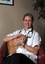 Darcy Reid (Central Houston Animal Hospital) | Animal Clinic | Pet Medicus
