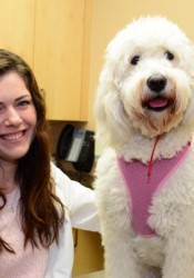 Tiffany Sikalas (West Hills Animal Hospital & 24hr Emergency Center) | Animal  Clinic | Pet Medicus