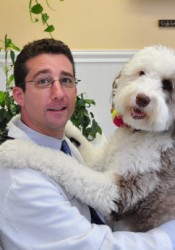 Matthew Steinberg (West Hills Animal Hospital & 24hr Emergency Center) | Animal  Clinic | Pet Medicus