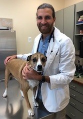 Dan Golodik (Oakhurst Veterinary Hospital) | Animal Clinic | Pet Medicus